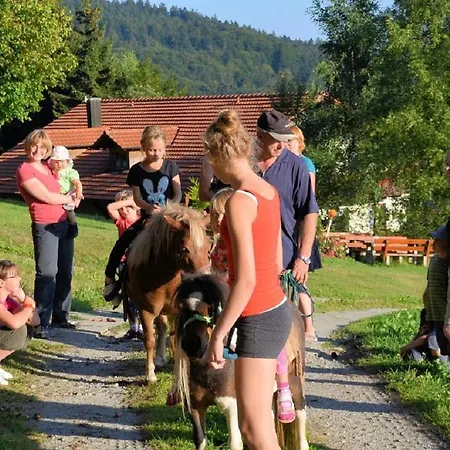 Freizeit- Und Erlebnishof Schoetz Casa di campagna *